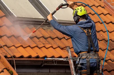 Démoussage et hydrofuge de toiture à Sénas